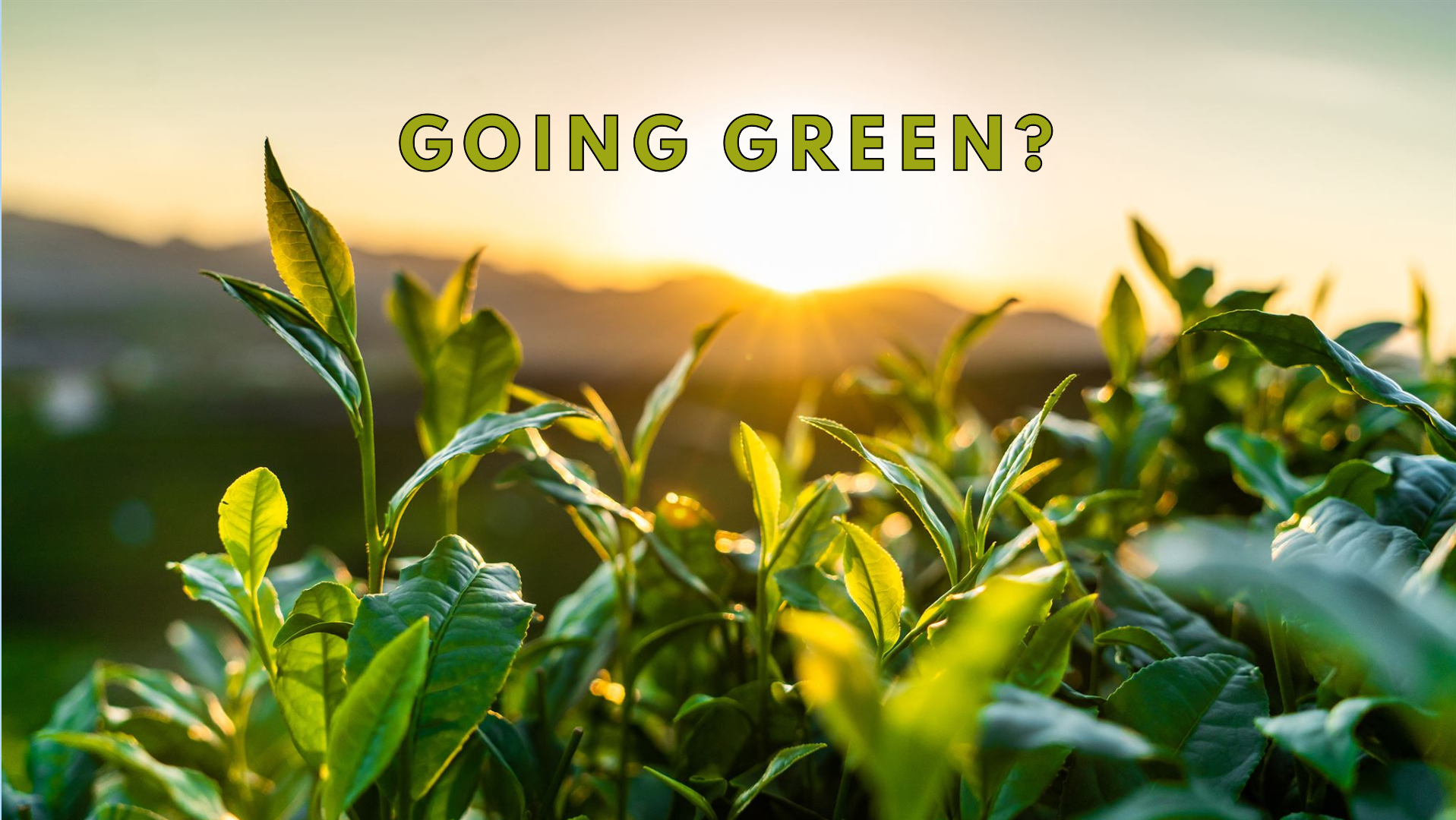 Guidance on Greener Monitoring Issued