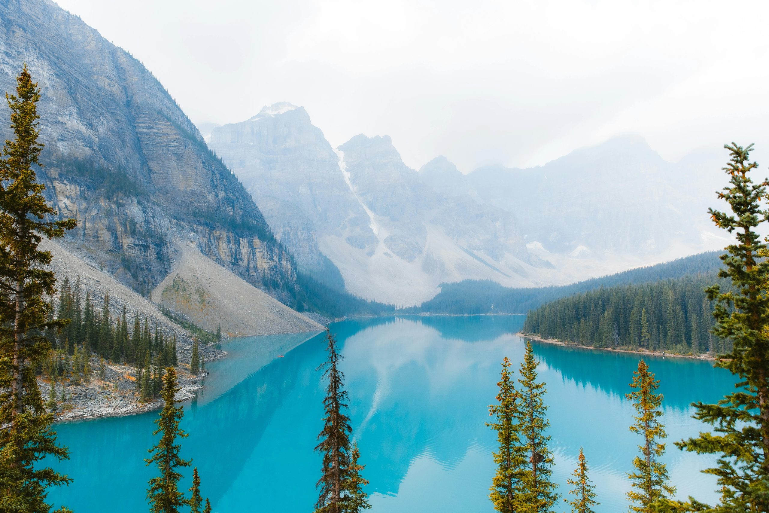 Marking One Year of Commitment to Environmental Sustainability in Research